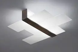 FAN_90231.jpg