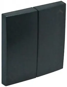 ELK_90612TIS.jpg