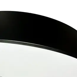 NED_LCL7121_3.jpg