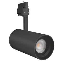 LDV_asset-6655250.jpg