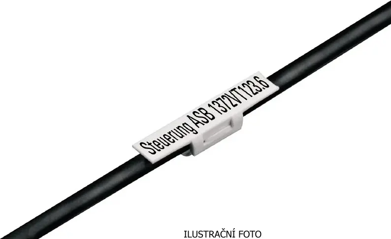 WM_1805870000_ilustr.jpg