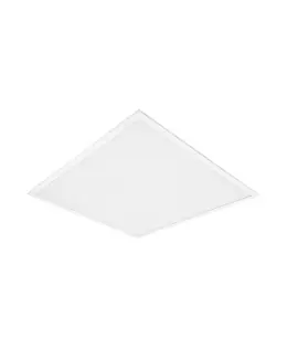 asset-2232044.jpg