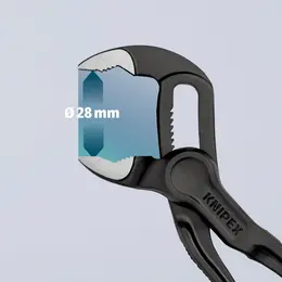 KN_IM0020957.jpg