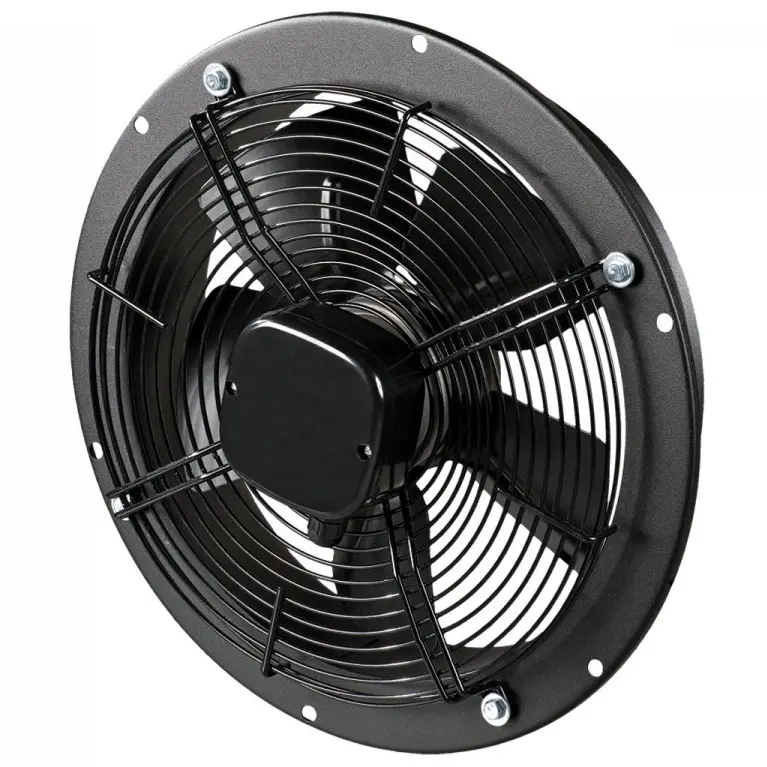 ELEM_1009631.jpg