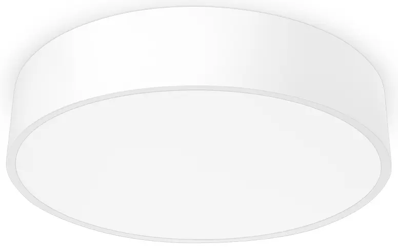 PAL_61000992.jpg