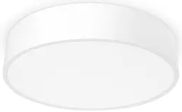 PAL_61000992.jpg