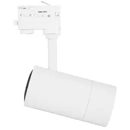 LDV_asset-6655217.jpg