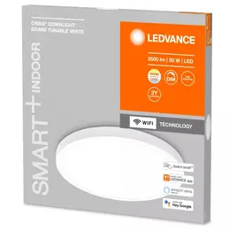 LDV_asset-13024356.jpg