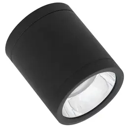 LDV_asset-13087254.jpg