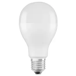 LDV_asset-9159365.jpg
