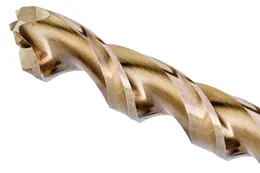 SBD_DT4956_F1.jpg