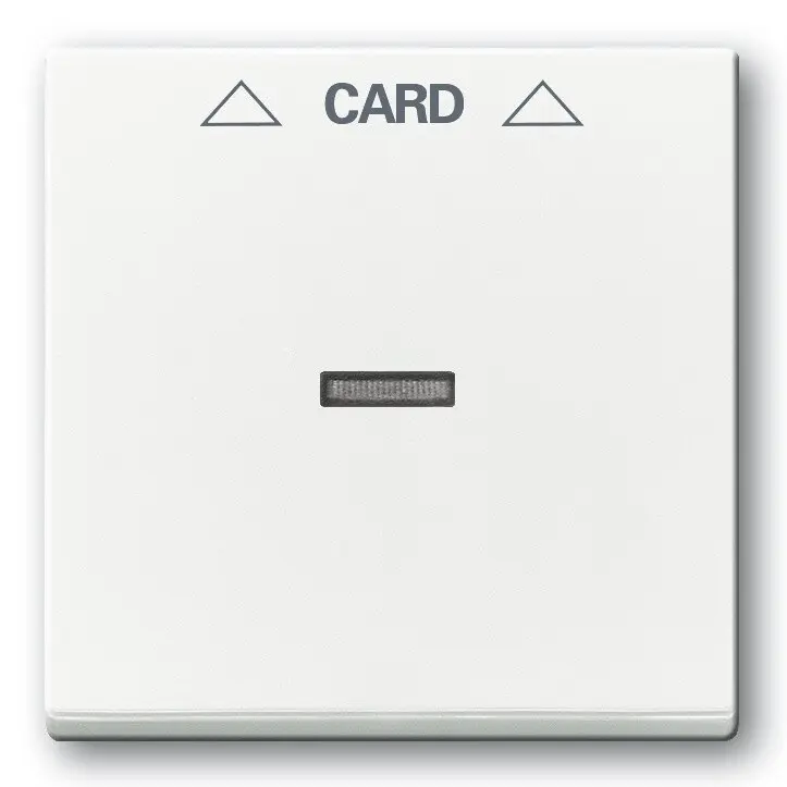 abb_future_spinace_kartove.jpg