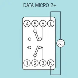 ELEM_811_3.jpg