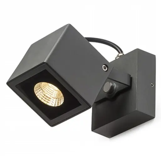 AUL_R12578_242043.jpg