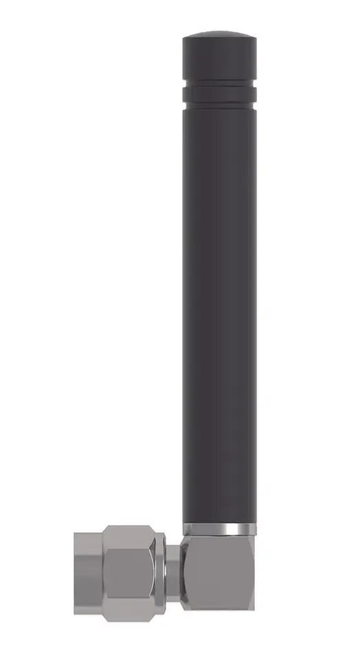 AN-I.jpg