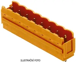 WM_1581840000_ilustr.jpg