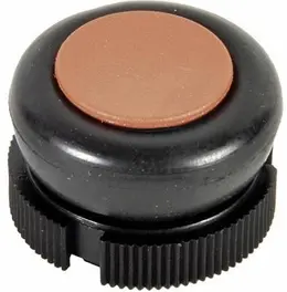 SCH_XACA9419.jpg