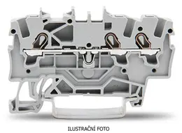 WAG_00442071_ilustr.jpg