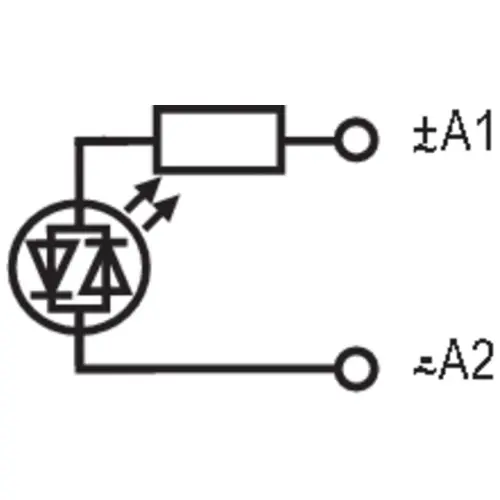 WM_PV_88696300008100.jpg