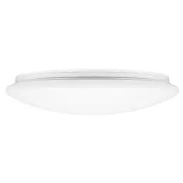 LDV_asset-13088824.jpg