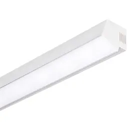 CO_3950.jpg