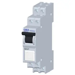 OEZ_MINIA_MSP-SG.jpg