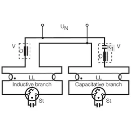 LDV_asset-276247.jpg