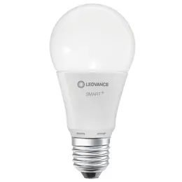 LDV_asset-5264163.jpg