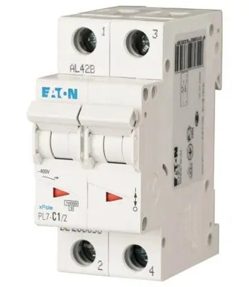 EA_sg09712.jpg