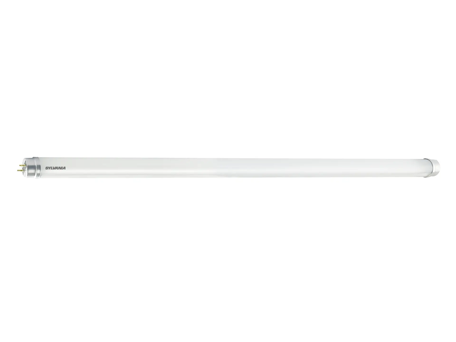 0029287.jpg