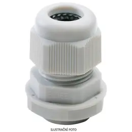 EST_GW10006596_ilustr.jpg
