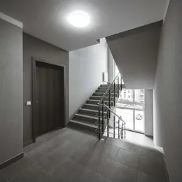 EM_2433553.jpg