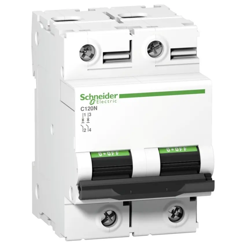 SCH_PB107917.jpg