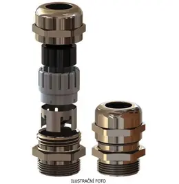 ELQ_BSEM-01_ilustr.jpg