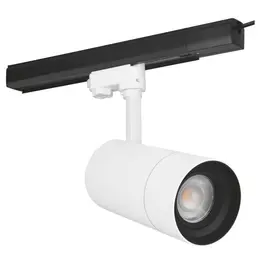 LDV_asset-6655216.jpg