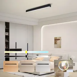 IMMAX_07256_7.jpg