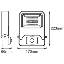 LDV_asset-6280349.jpg