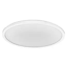 asset-13067740.jpg