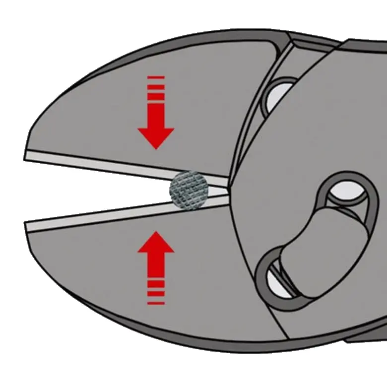 KN_IM0009979.jpg