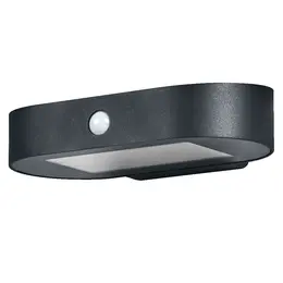 asset-13083313.jpg