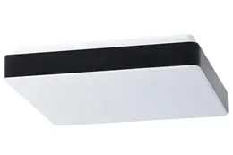 OS_TILIA_C2.jpg