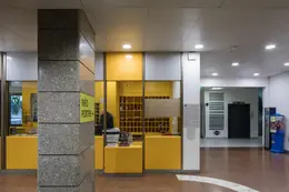 LDV_asset-6919624.jpg