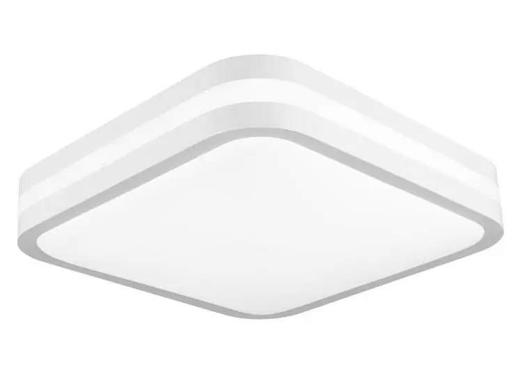 PAL_61000695.jpg