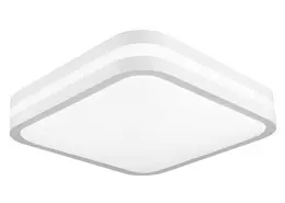 PAL_61000695.jpg