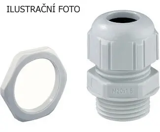 SPE_22741601_ilustr.jpg
