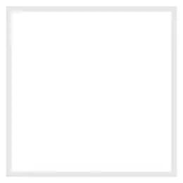 LDV_asset-8639866.jpg