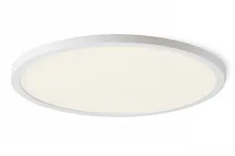 AUL_R12770_2.jpg