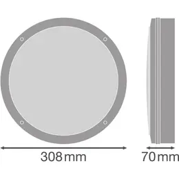 LDV_asset-8025284.jpg