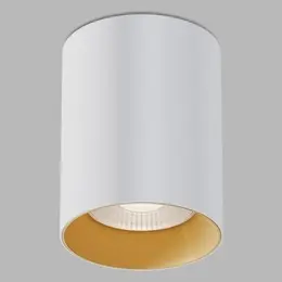 AUL_LED2-6489907_4.jpg