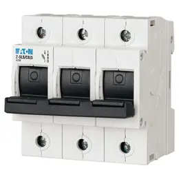 EA_sg80811.jpg